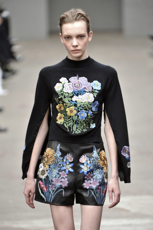 Sex mulberry-cookies:  Christopher Kane F/W 2010 pictures