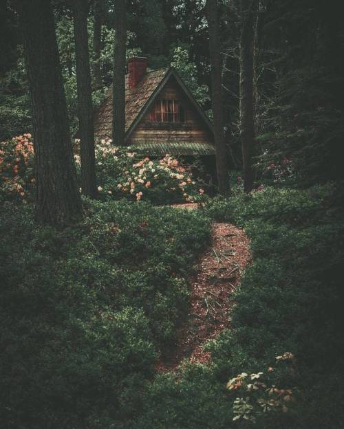 (via Little cottage in the woods… : CozyPlaces)