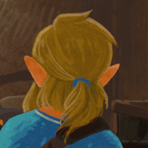 a gif of Link from TLOZ turning his head in many art styles