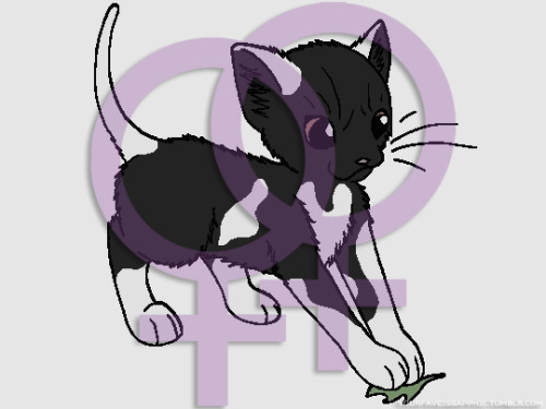 Violetpaw (from Warriors) is sapphic