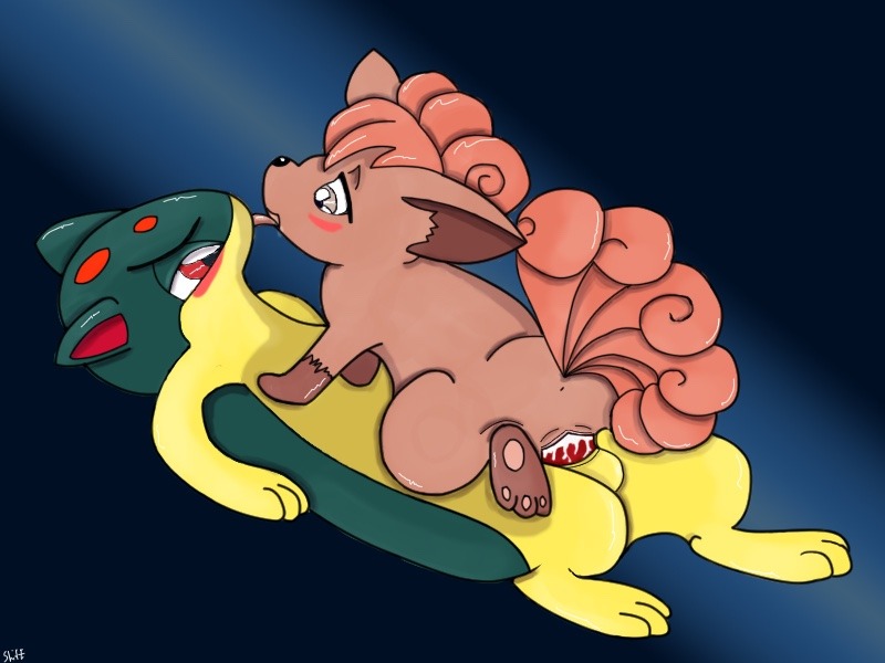 swiftstar194:  Pokemon montage: vulpix