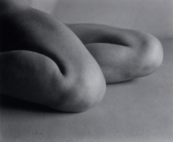 yama-bato: Edward Weston  -  Nude, 1927