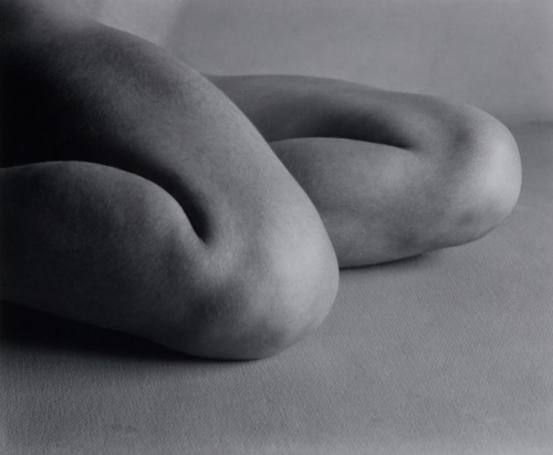 Porn Pics yama-bato: Edward Weston  -  Nude, 1927