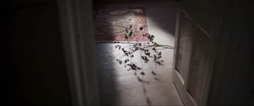 cinemawithoutpeople:Cinema without people: A Dark Song (second pass, interior shots) (2016, Liam Gav