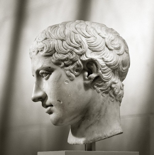 met-greekroman-art:Marble head of a youth by Polykleitos, Greek and Roman ArtRogers Fund, 1907Metrop