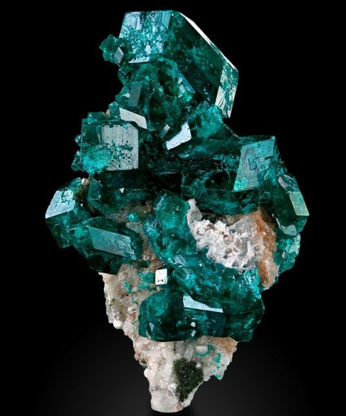 geologyin-blog:Wonderful dark green color of dioptase crystal from Tsumeb Mine, Otavi Highlands, Nam