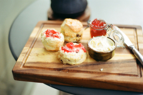 delectabledelight:Perfect Cream Tea at Mannion &amp; Co., York (by oh it’s amanda)