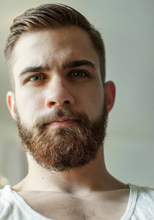 Celebration of the Male Beauty