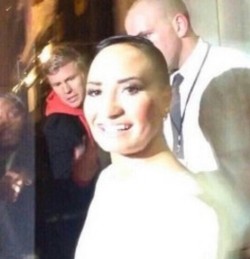 rainypersoncheesecake:  OMG imagine if poot lovato,becky,and zaiyn malek made a mix tape. 