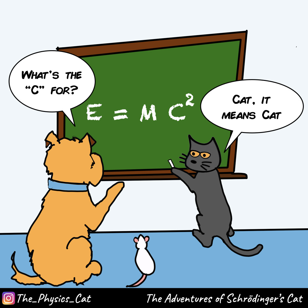 The Adventures Of Schrodinger S Cat On Tumblr The Adventures Of Schrodinger S Cat On Tumblr
