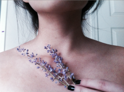 dreamybruise:   And we left our love in our summer skin. 