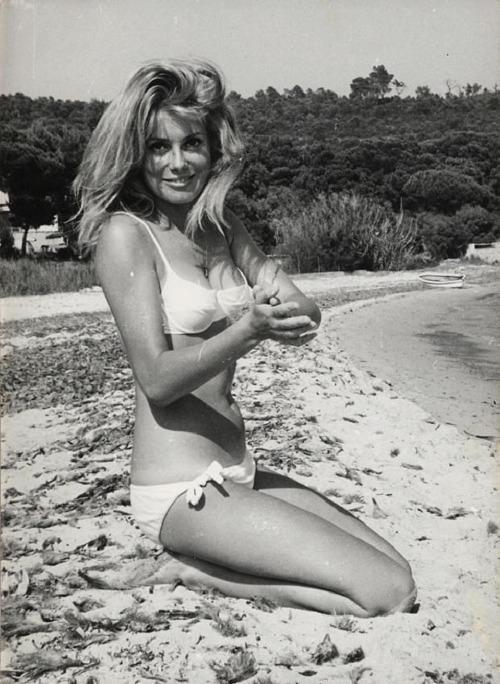 womenofthe30s-70s: Catherine Deneuve