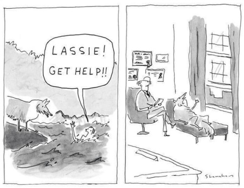 “Lassie! Get help!!”New Yorker cartoon by Danny Shanahan.