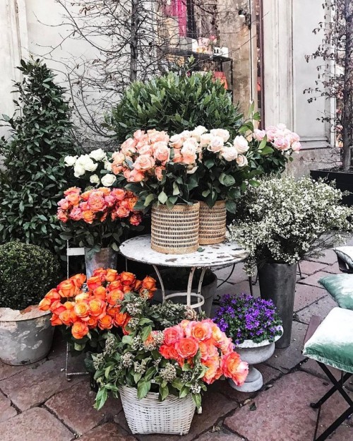 Spring is in the air! | by Francesco Innocenti