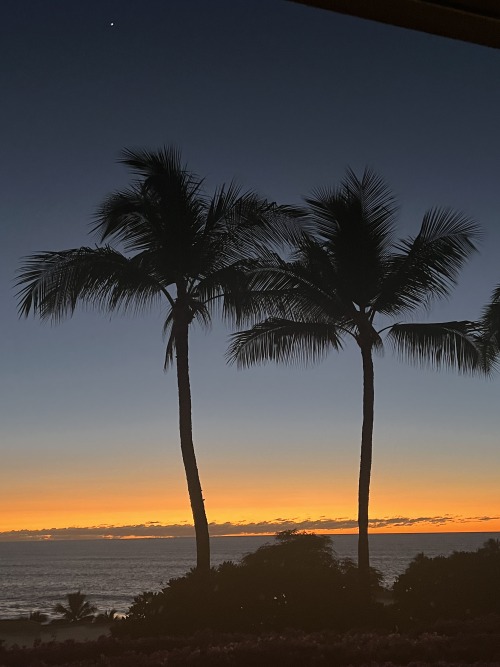Big Island HI. First Star Of The Night, Probably Venus, So A Planet. 