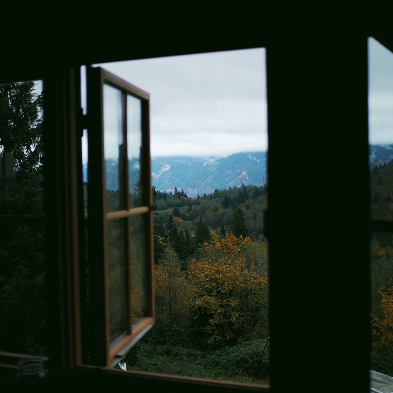 thecindercone:  Fall 