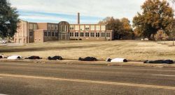 neonoirnigga:  brownglucose:  jcoleknowsbest:  East High school students, Memphis, TN protesting…. This is poplar avenue in memphis… One of the busiest streets in memphis…   Rumble young people rumble!!  I gotta reblog this again, cause this shit