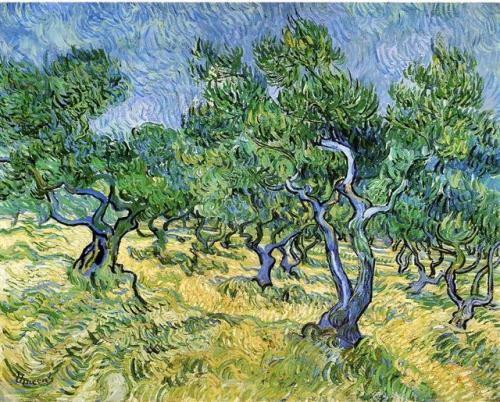 vincentvangogh-art - Olive Grove1889Vincent van Gogh