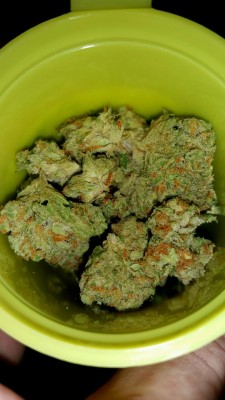 cloudyheadedstoner:  Fun fact: Green Crack was the first strain I ever smoked 