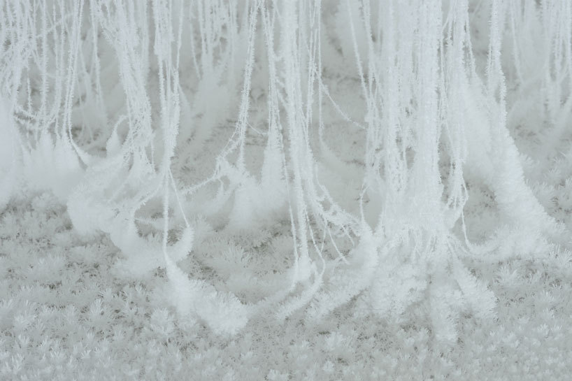 unpredictablenature-blog: Crystallized Forest by Yasuaki Onishi