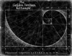 chaosophia218:  The Fibonacci Spiral - The Golden Section Rectangle.Sacred Geometry is the belief that geometry and mathematical ratios, harmonics and proportion are also found in music, light, cosmology. The Fibonacci spiral is considered a logarithmic