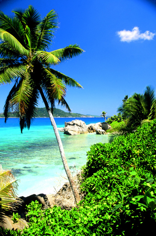 tropicaldestinations:  The exotic Seychelles Islands (by Idee Per Viaggiare)