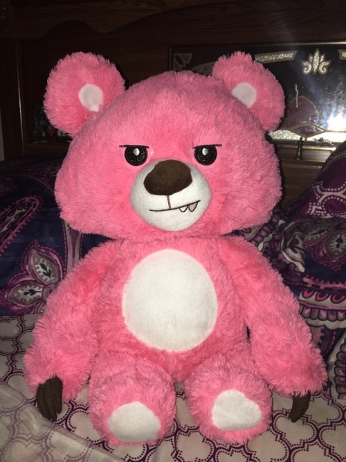 auntyuncleryry:My stuffed animal that I won from a balloon popping water gun game on the boardwalk a