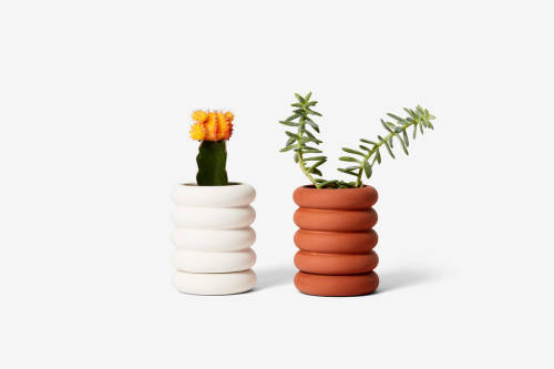 Areaware: Objects & Gifts for Home, Work & Play“We believe the best design evokes good feeli