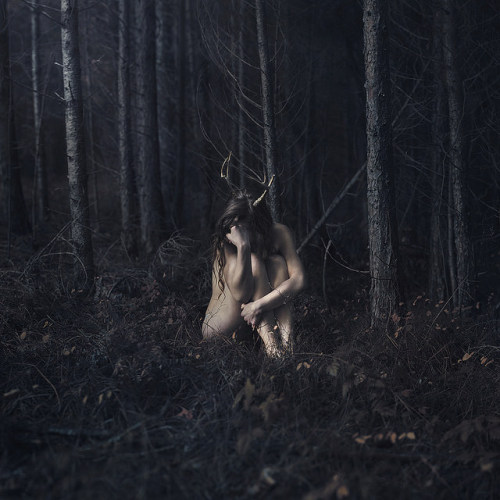 lucy-likes-to-dream: lucy-likes-to-dream   Lonely Creatures by parvana_photography on Flickr.