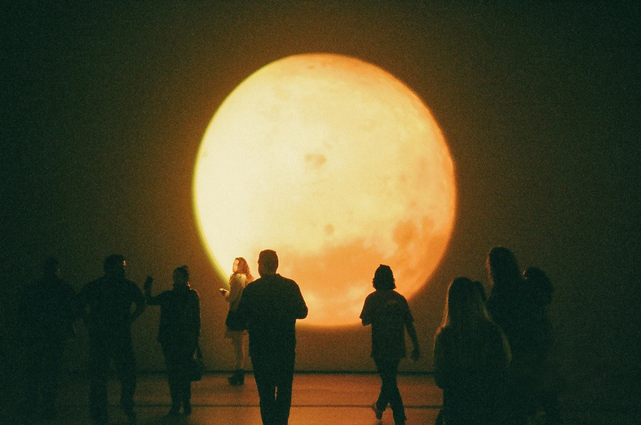 lostinthewhiteroom:  Diana Thater - The Sympathetic Imagination Los Angeles County