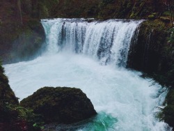 justapplyyourself:  Little White Salmon River. Spirit Falls, Washington.
