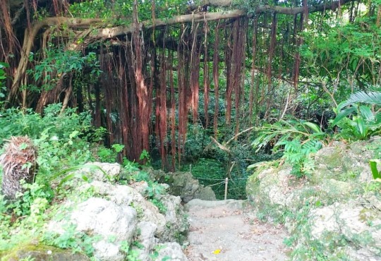 不二洞 Explore Tumblr Posts And Blogs Tumgir 不二洞 Explore Tumblr Posts And Blogs Tumgir