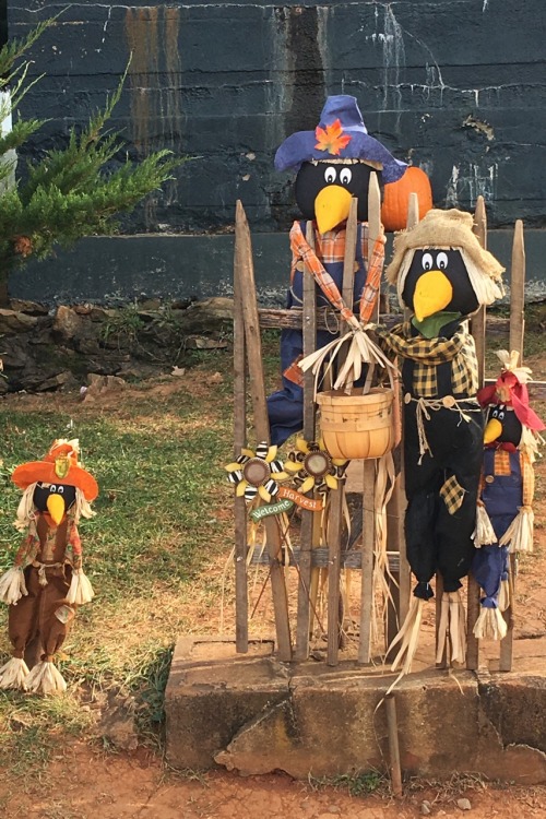 Halloween Scarecrows, Carter Mountain Orchard, Albermarle County, 31 October 2016.