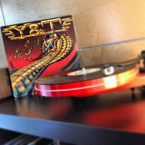 knierimosity:  Y&T. #vinyl #vinyligclub #vinylsunday #onmyturntable #nowplaying (at record den) 