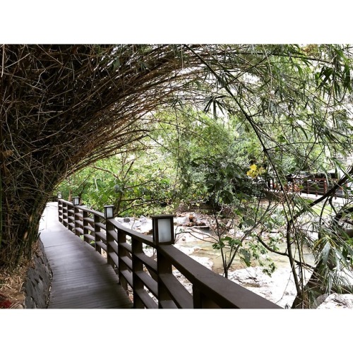 Enjoy a romantic stroll along the natural streams of Beitou! Beitou Hot Spring Valley, Taipei, Taiwa