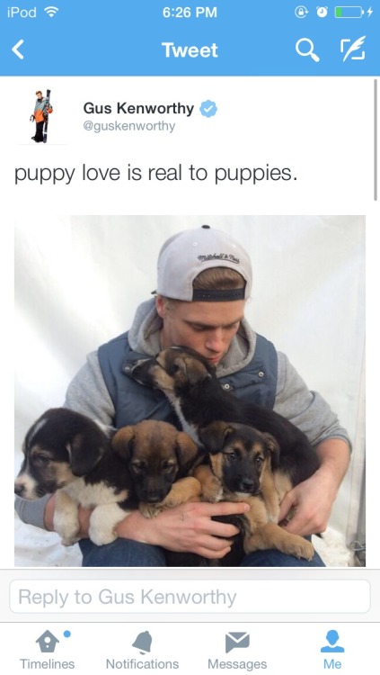 undiscoveredalmostsinger:  why aren’t we talking about the fact that this athlete is taking 4 puppies and their mother home. bc it is fucking adorable.   Whoa wait, did he really say “oh my glob”? Is he an Adventure Time fan? That’s