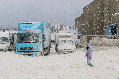 Winter in Britanny&hellip;No, this isn&rsquo;t snow as you might expect in a northern European winte
