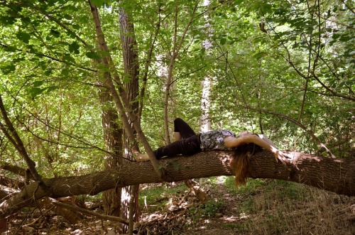 walk-barefoot:  lay down on or by a tree when you get the chance 