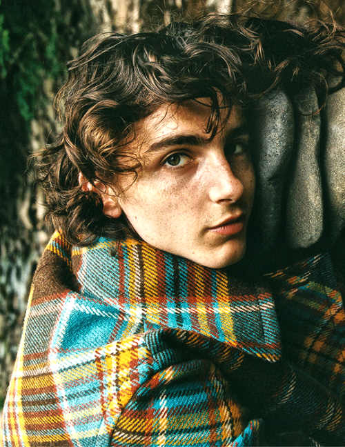 harryspaintedtoes:TIMOTHEE CHALAMET for GQ