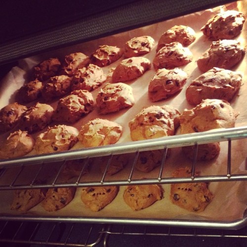 #pumpkin #chocolate #cake #cookies #baking #roundtwo #ateallofit #jk #almost #thisiswhyimfat