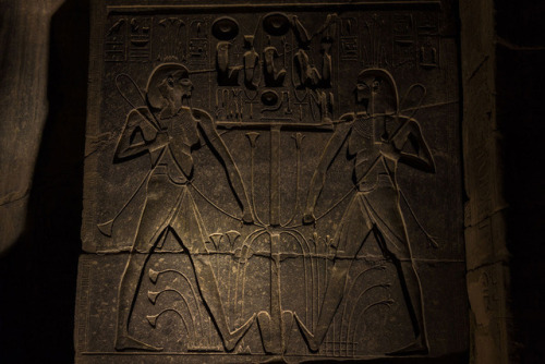 Relief depicting Hapi, god of the Nile, represented as Hap-Meht (Lower Egypt) and Hap-Reset (Upper E