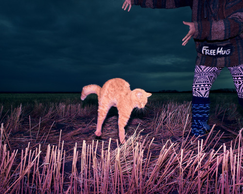 darksilenceinsuburbia:    Benoit Paillé: The Kitsch Destruction of Our World