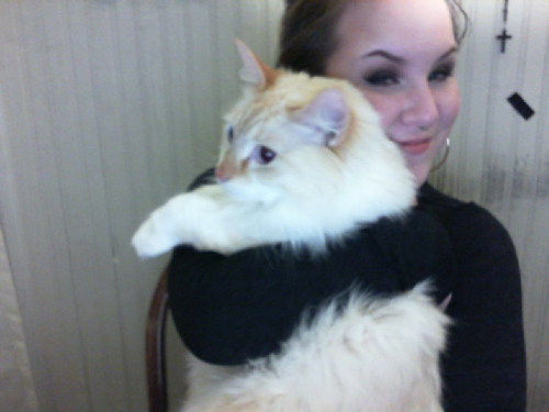hierophilic:me and my giant cat