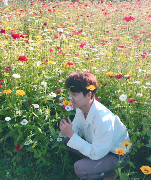 hunahhunah:Flowerin