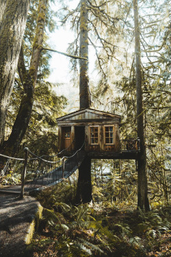 banshy:  TreeHouse Point by Dylan Kato