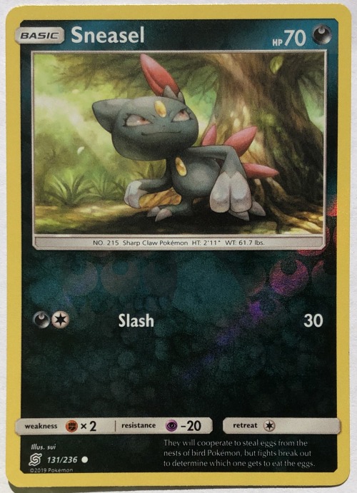 ladyowltonspokemon