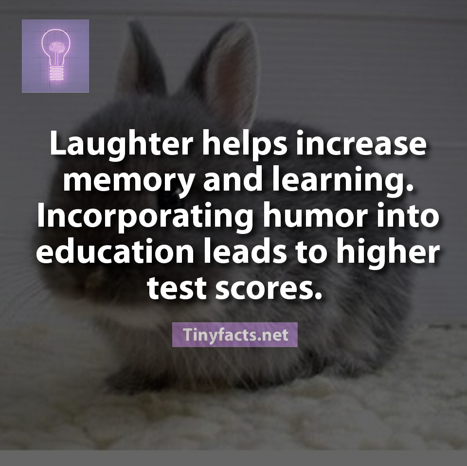 More at: Tinyfact’s Facebook | Youtube | Instagram
