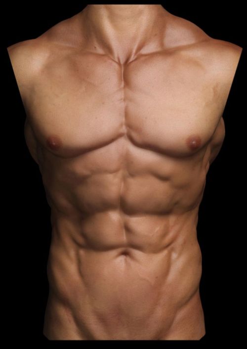 artiststoolbox:  bloochikin:  fucktonofanatomyreferences:  A generous fuck-ton of muscular male abdomen references. * As always with large images, you gotta reverse-image search ‘em to find the larger size. Sorry about that. It’s the most helpful