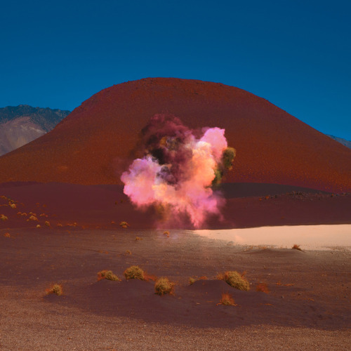 lafilleblanc: Neil Krug Bonobo, Migration Album Artwork watch