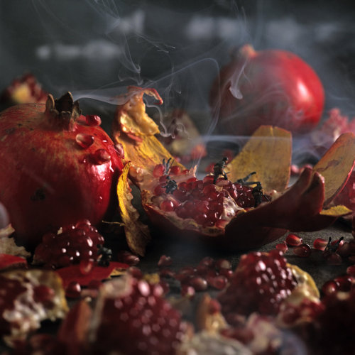 Go Where Raisins Swell Into Grapes, and Lemons Light the Sky // Pierre Javelle and Akiko I
